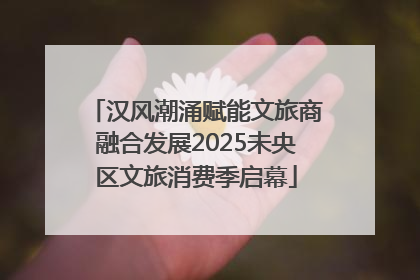 汉风潮涌赋能文旅商融合发展2025未央区文旅消费季启幕