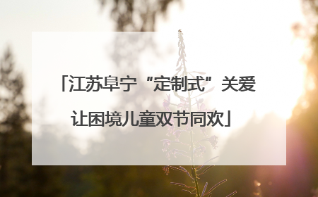 江苏阜宁“定制式”关爱 让困境儿童双节同欢