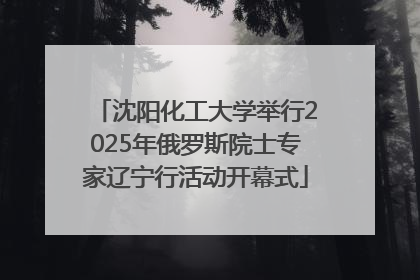 沈阳化工大学举行2025年俄罗斯院士专家辽宁行活动开幕式