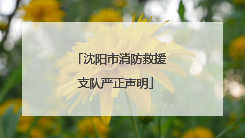 沈阳市消防救援支队严正声明