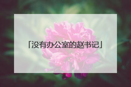 没有办公室的赵书记