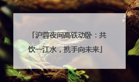 沪蓉夜间高铁动卧：共饮一江水，携手向未来