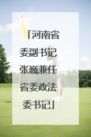 河南省委副书记张巍兼任省委政法委书记