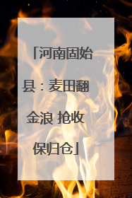 河南固始县：麦田翻金浪 抢收保归仓