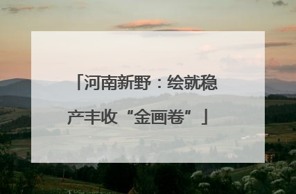 河南新野：绘就稳产丰收“金画卷”