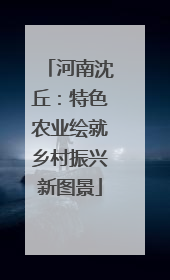 河南沈丘：特色农业绘就乡村振兴新图景