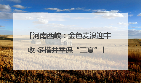 河南西峡：金色麦浪迎丰收 多措并举保“三夏”