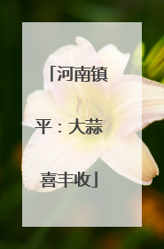河南镇平：大蒜喜丰收