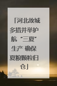河北故城多措并举护航“三夏”生产 确保夏粮颗粒归仓