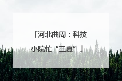 河北曲周：科技小院忙“三夏”