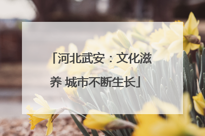 河北武安：文化滋养 城市不断生长
