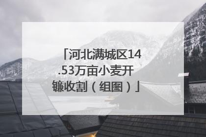 河北满城区14.53万亩小麦开镰收割（组图）