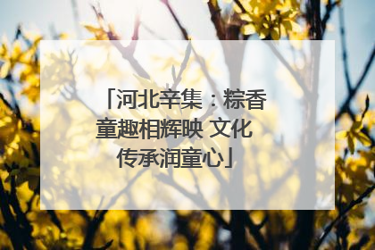 河北辛集：粽香童趣相辉映 文化传承润童心