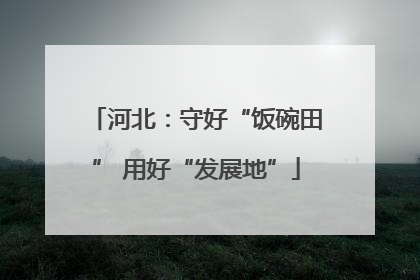 河北：守好“饭碗田” 用好“发展地”