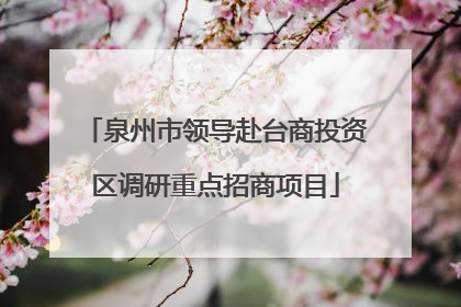 泉州市领导赴台商投资区调研重点招商项目