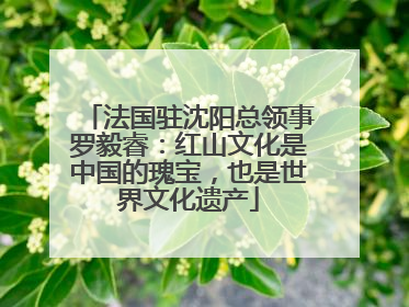 法国驻沈阳总领事罗毅睿：红山文化是中国的瑰宝，也是世界文化遗产