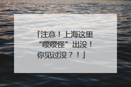 注意！上海这里“嘤嘤怪”出没！你见过没？！