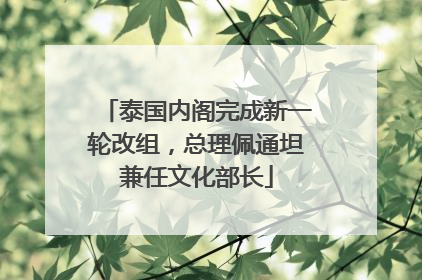 泰国内阁完成新一轮改组，总理佩通坦兼任文化部长