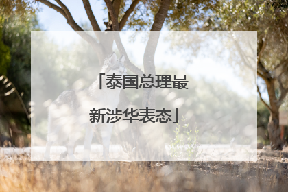 泰国总理最新涉华表态