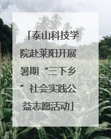 泰山科技学院赴莱阳开展暑期“三下乡”社会实践公益志愿活动