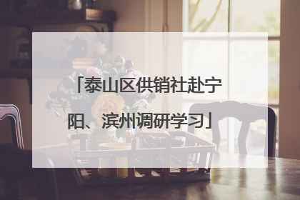 泰山区供销社赴宁阳、滨州调研学习