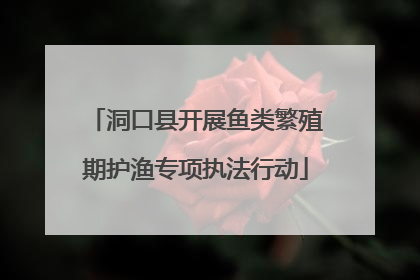 洞口县开展鱼类繁殖期护渔专项执法行动