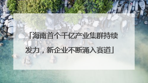海南首个千亿产业集群持续发力，新企业不断涌入赛道