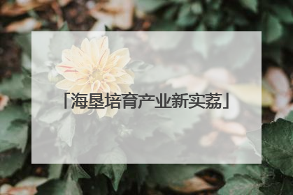 海垦培育产业新实荔