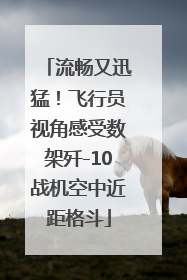 流畅又迅猛！飞行员视角感受数架歼-10战机空中近距格斗