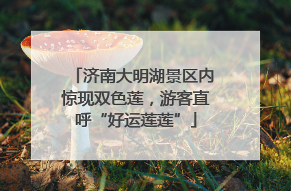 济南大明湖景区内惊现双色莲，游客直呼“好运莲莲”