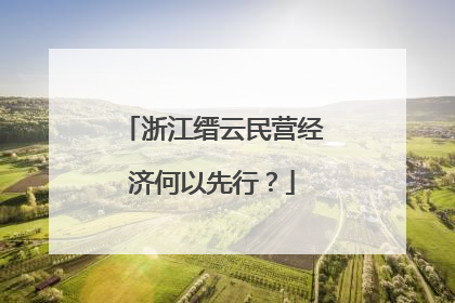 浙江缙云民营经济何以先行？