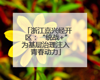 浙江嘉兴经开区：“统战+”为基层治理注入青春动力