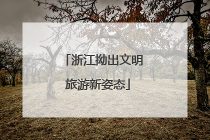 浙江拗出文明旅游新姿态