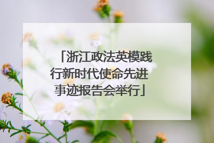 浙江政法英模践行新时代使命先进事迹报告会举行