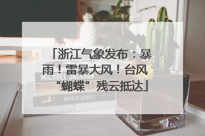 浙江气象发布：暴雨！雷暴大风！台风“蝴蝶”残云抵达