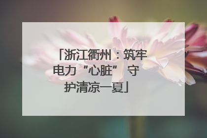 浙江衢州：筑牢电力“心脏” 守护清凉一夏