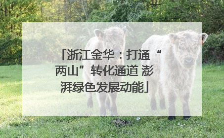 浙江金华：打通“两山”转化通道 澎湃绿色发展动能