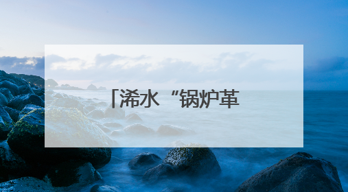 浠水“锅炉革命”让海鳗游出“绿色产值”