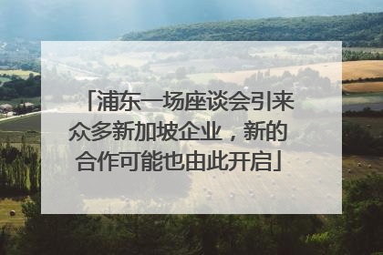 浦东一场座谈会引来众多新加坡企业，新的合作可能也由此开启