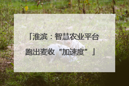 淮滨：智慧农业平台跑出麦收“加速度”