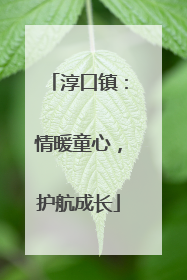 淳口镇：情暖童心，护航成长