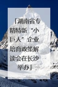 湖南省专精特新“小巨人”企业培育政策解读会在长沙举办