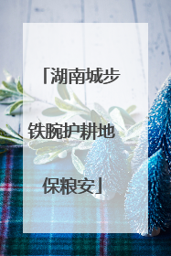 湖南城步铁腕护耕地保粮安