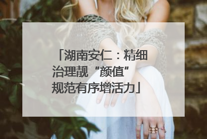 湖南安仁：精细治理靓“颜值” 规范有序增活力