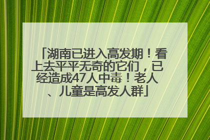 湖南已进入高发期！看上去平平无奇的它们，已经造成47人中毒！老人、儿童是高发人群