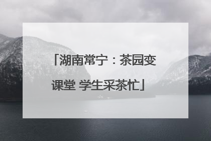 湖南常宁：茶园变课堂 学生采茶忙