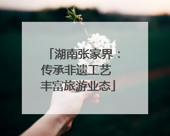湖南张家界：传承非遗工艺 丰富旅游业态