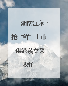 湖南江永：抢“鲜”上市 供港蔬菜采收忙