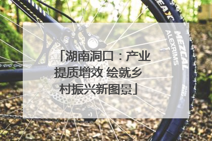 湖南洞口：产业提质增效 绘就乡村振兴新图景