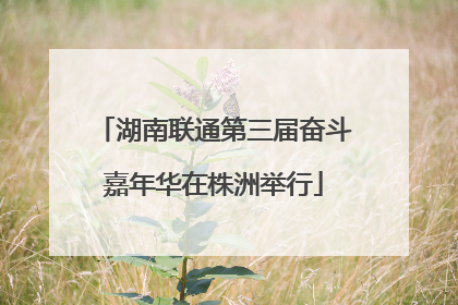 湖南联通第三届奋斗嘉年华在株洲举行